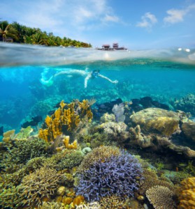 Ambergris Caye