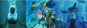 Take a Sea Trek Tour in San Pedro Belize