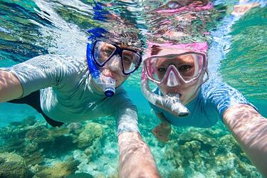 snorkeling shark ray alley