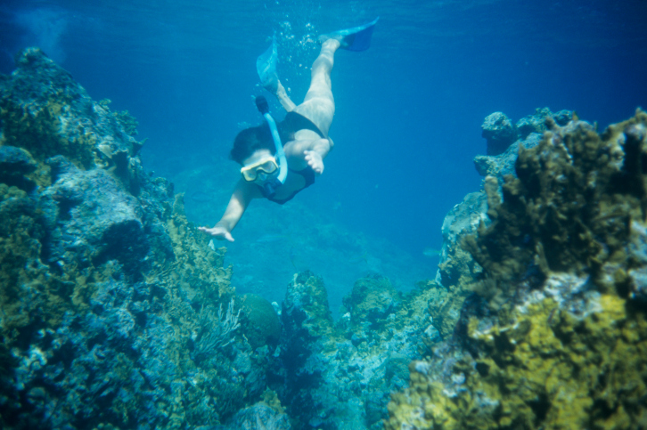 Snorkeling in Carribean