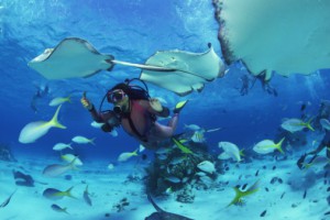 Scuba Diving in Ambergris Caye