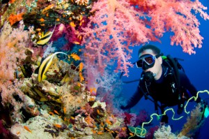 Scuba Diving Ambergris Caye