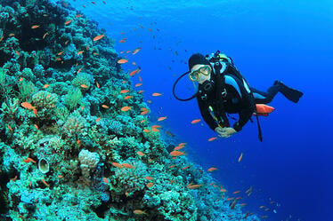 Scuba Diver and Coral Reef